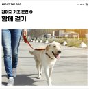 개님살롱 레이크사이드 이미지