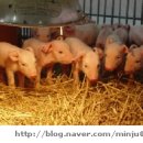 세은농장 이미지