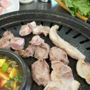 돈다뒷고기