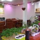 영미농장 이미지