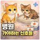 수노을동물병원 이미지