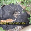 청우물산 이미지