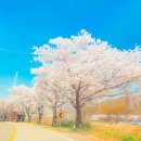 달창로,달창로26길 이미지