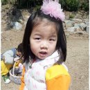 환타랜드숲유치원 이미지