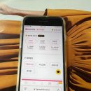 퍼니스토리 | 인스타그램 키우기 고민 끝 퍼니클릭 실제 이용 후기로 알려드리는 현실적인 성장 비결