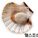 가리비