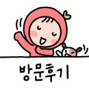 레아드레스앤카페