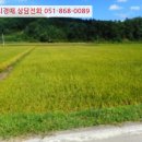 기리경로당 네이버블로그