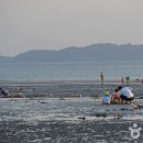 학암포자동차야영장 이미지