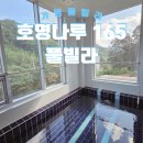 호명나루165풀빌라 | 가평풀빌라 호명나루165 풀빌라 301호 후기