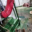 무궁화한양.효성 이미지