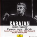 교향곡 1번 G단조 Op. 13 '겨울날의 환상' / Karajan 이미지