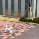 하남제일주유소 | March, 2026 | 프로이직러의 적응하느라 바쁜 3월 1주차 주간일상