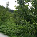 즉연농장 이미지