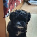 양춘당약국 이미지