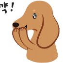 노원메디칼약국 이미지