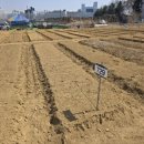 안고랑농장 | [시민농장] 시민농장 1일차. 거름주기와 고랑 만들기 (용인시민농장, 초보식집사, 4평 텃밭)👨‍🌾👩‍🌾