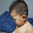 스킨오가닉 이미지