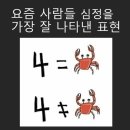까사코지 이미지