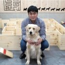 도그워시 이미지