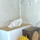 캘리포니아 하우스 펜션 이미지