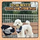 애플유치원 | 애플멜로우 강아지커스텀케이프 후기✨강아지가을옷 추천