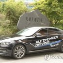 만도종합