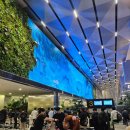 프리마호텔 | 자카르타 공항 수카르노 하타 공항 터미널3 환승호텔 디프리마 dprima 방문후기