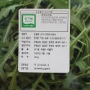 정직한이웃 이미지