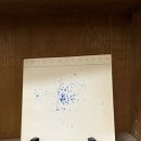 바이슨&북스