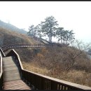 백수해안공원 티스토리