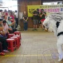 함평천지 한우비빔밥 음식테마거리 이미지