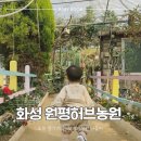 잉꼬하우스 | 화성 아기랑 갈만한 곳 | 원평 허브농원, 17개월 아기랑 가성비 끝판왕 식물원!