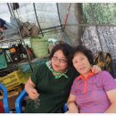 금보농장 이미지