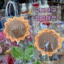 배방문구 이미지
