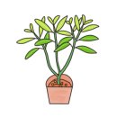 용산에스(S)치과의원 이미지