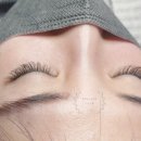 샤랄라속눈썹 이미지