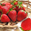 원원농장 이미지