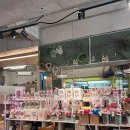 라떼플로라 이미지