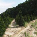 온별천지 이미지