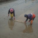 금화농장 이미지