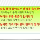 바른자세운동센터 세움 이미지