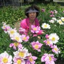 연일공원 이미지