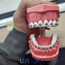 서울룬치과의원 이미지