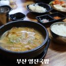 [아기랑 부산] 해운대 국밥 맛집 ‘영진국밥‘ 솔직후기 주차 웨이팅
