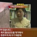 황제메밀 이미지