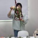 싱그럽다그대꽃학원 네이버블로그