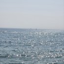 속초 바닷가 다녀왔어요. 이미지