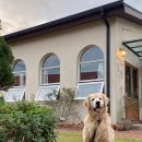 수망일기 이미지