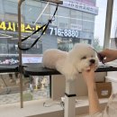 몽니드 이미지